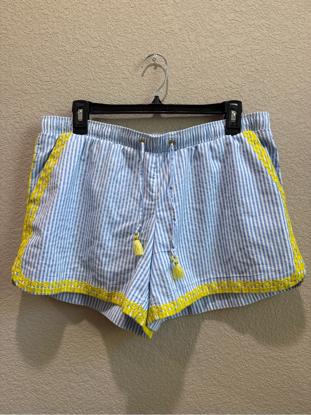 Lilly Pulitzer Blue & White Stripe Pull on Shorts